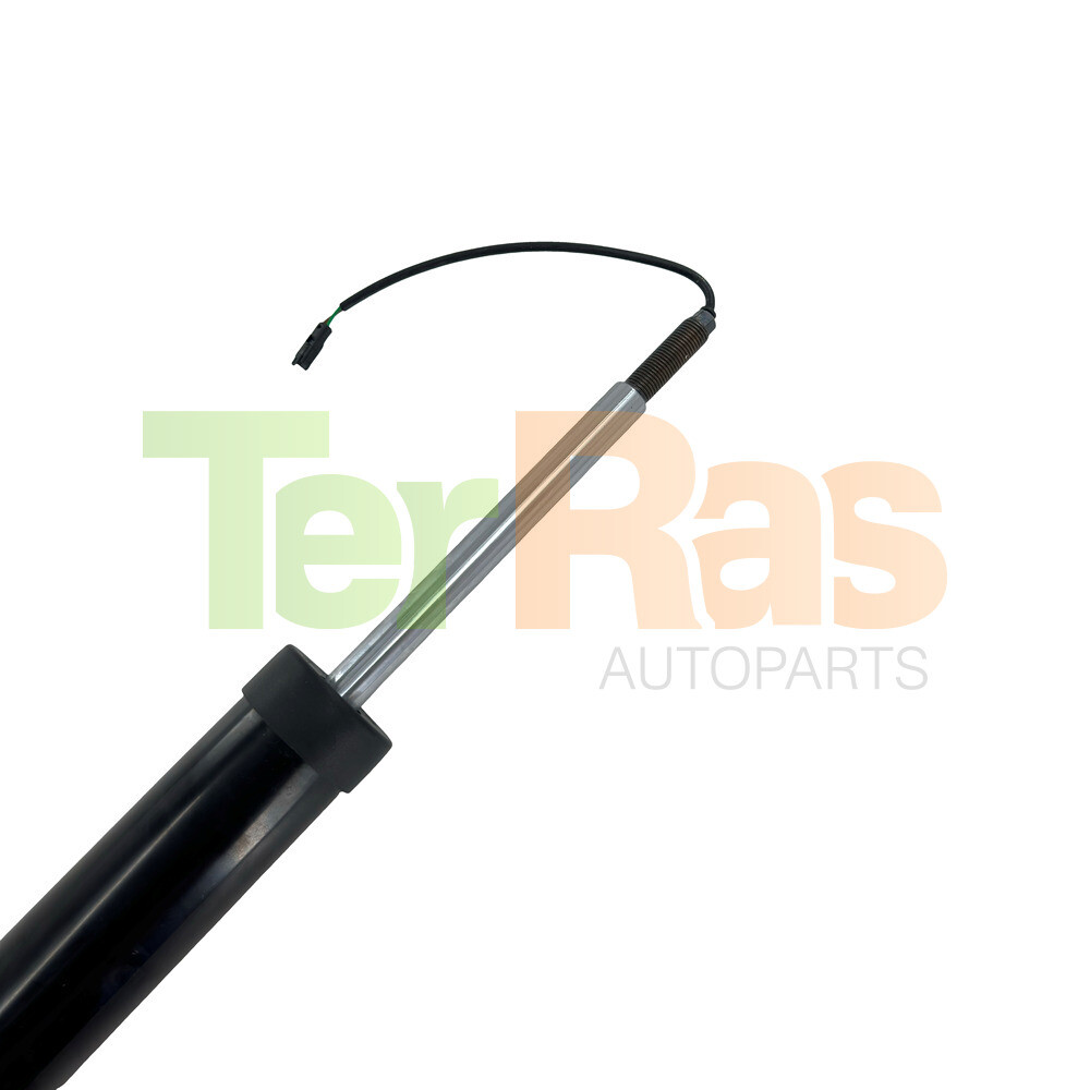 Maserati Quattroporte S Diesel 2013-2017 Rear Right Shock absorbers 2 pcs P/N 67010540