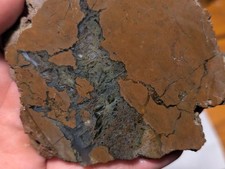 Large Moss Agate Dendritic Thunderegg Thunder Egg Crystal Slab