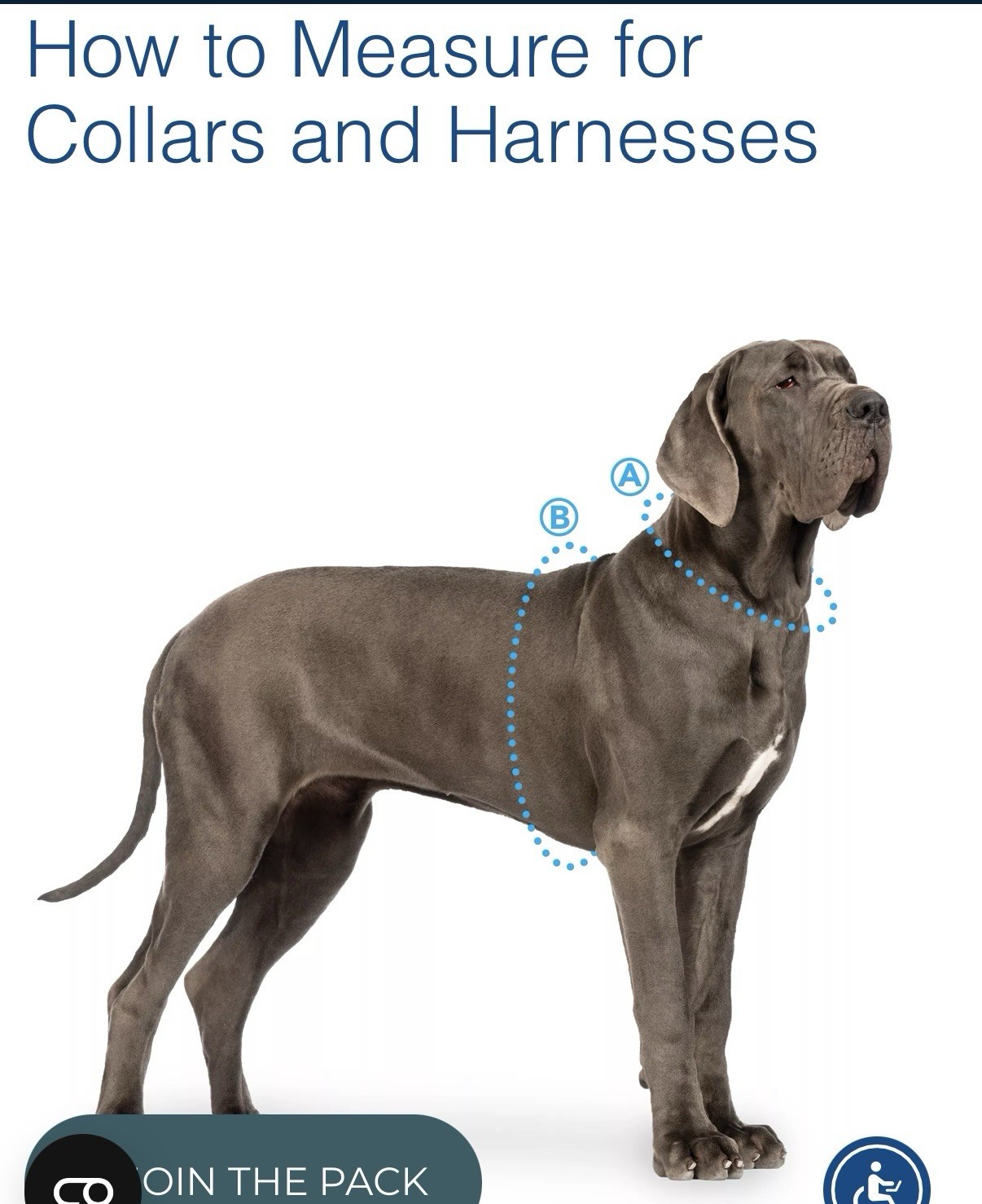 Coastal Pet Comfort Soft Reflect Adjustable Dog Harness No Pull Large Pink New