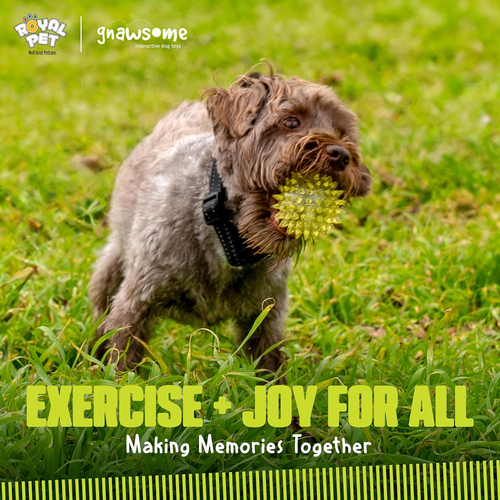 2.5” Spiky Squeaker Ball Dog Toy - Small, Cleans Teeth and Promotes De - Picture 6 of 12