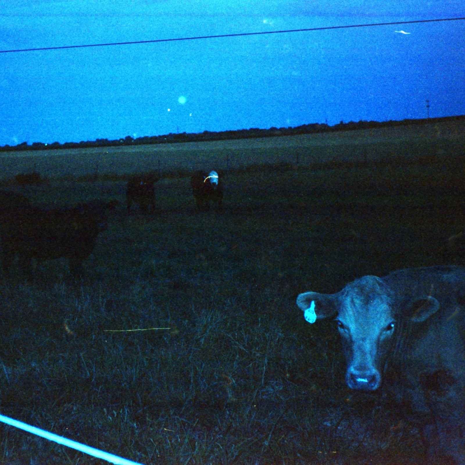 Waveform* - Antarctica [Темно-синий винил] НОВЫЙ запечатанный виниловый альбом LP