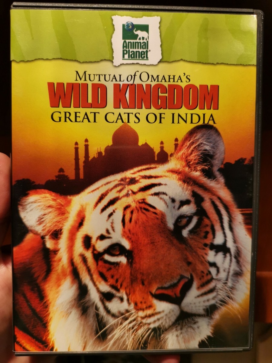 その他 Sacred India [DVD] Sacred India [DVD]