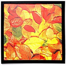 13x13 Square Picture Frame Wall Record Album LP Cover Photo Frame Black 1 Pack