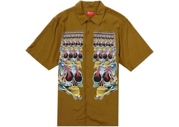 Chemise Supreme Skulls S/S marron clair taille grande