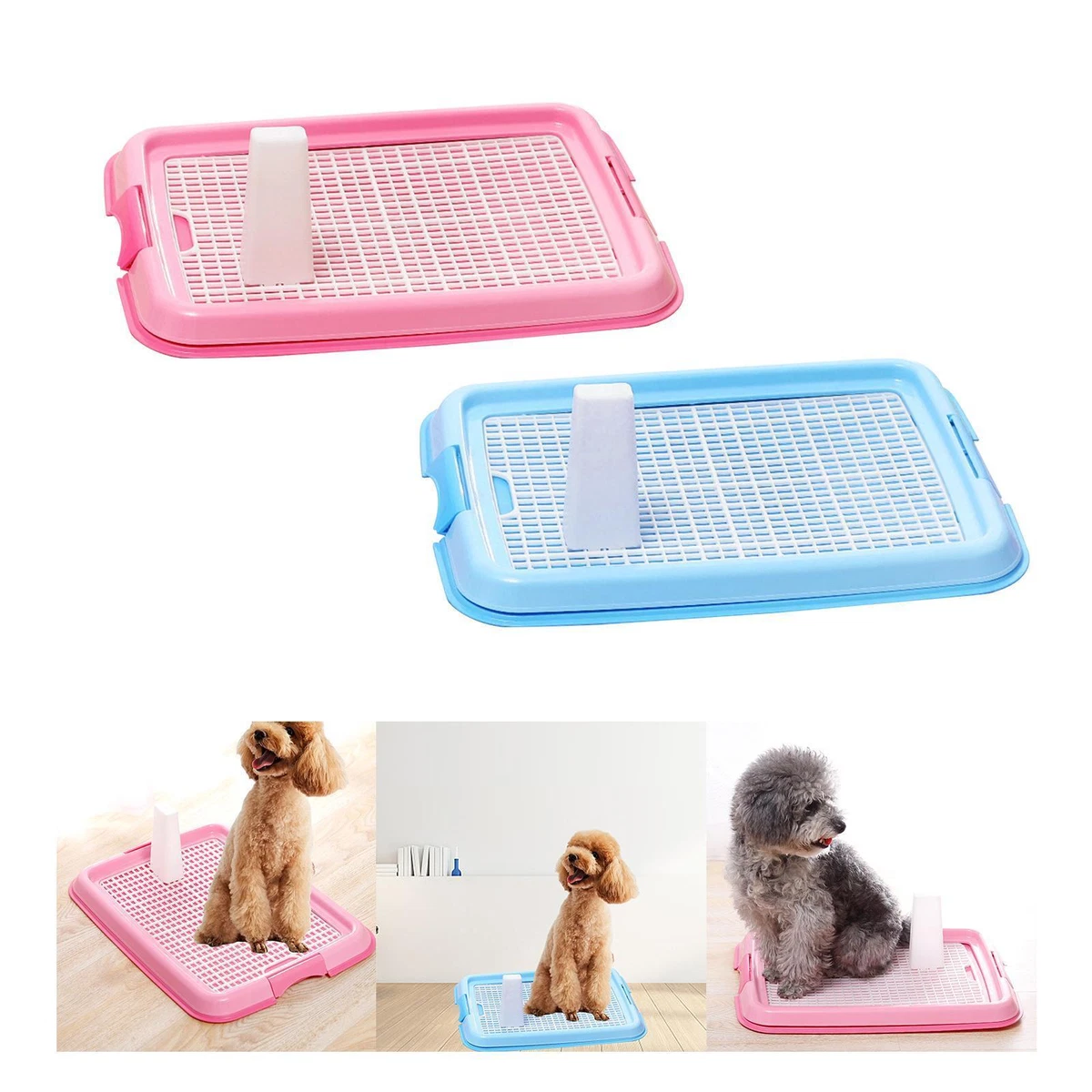 Dog wee clearance tray