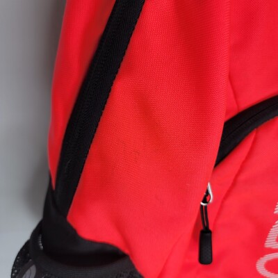 north face haystack backpack red THE Basin 24 Its endorsed by the American Chiropractic Association The North Face Jester Backpack,