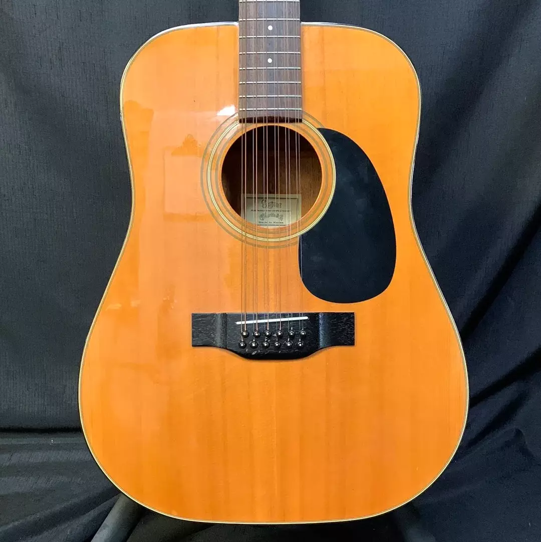 Used 12 string guitar deals