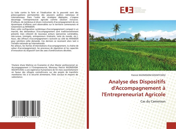 Patrick Ngomdjom Kountchou | Analyse Des Dispositifs D'accompagnement à...-image