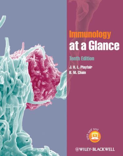 Immunology at a Glance by B. M. Chain (Paperback Book) - Image 3