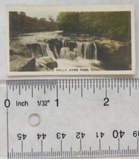 J. A. Pattreiouex Real Photos card - Nelly Ayre Foss