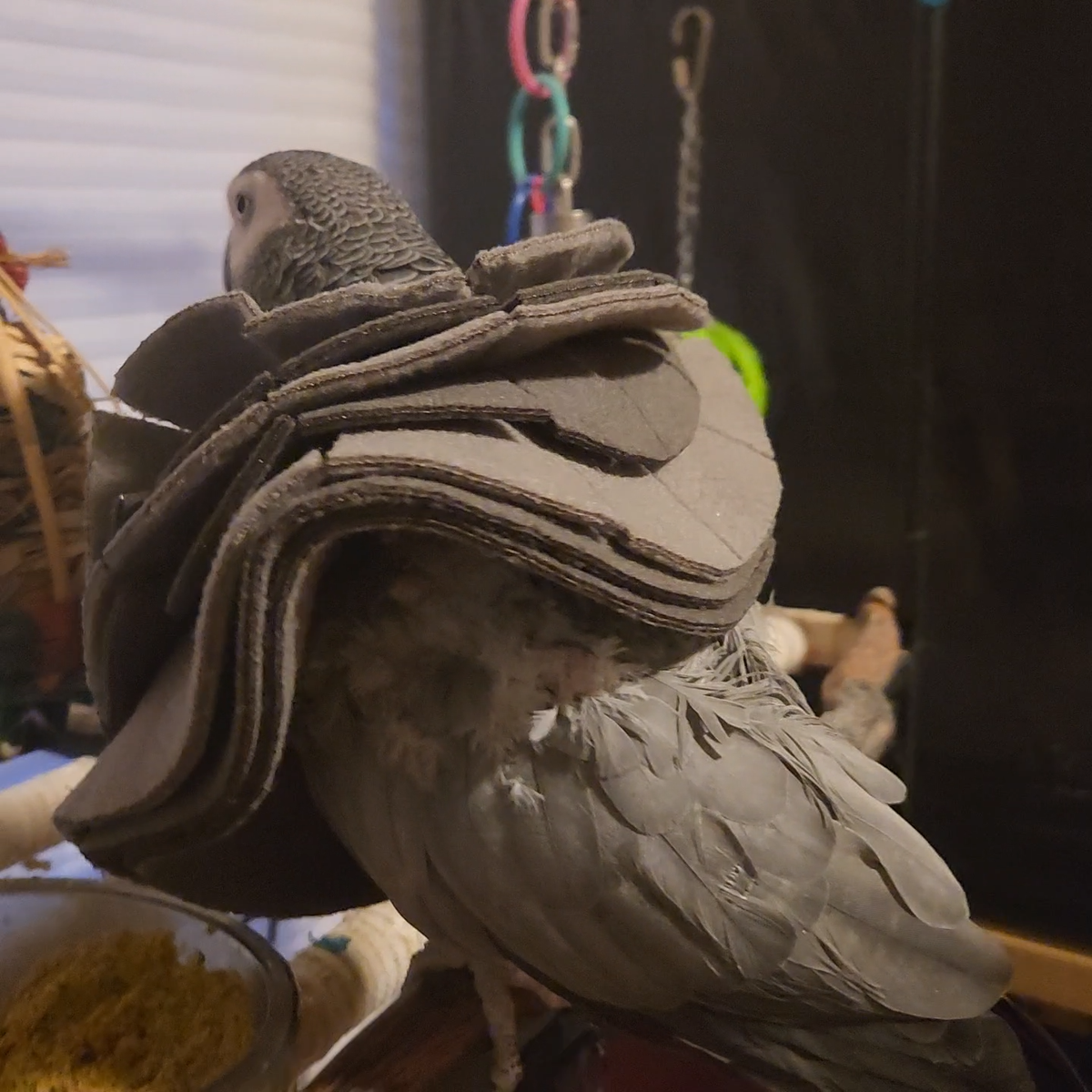 Soft Bird Collar for Congo African Grey Parrots For Picking