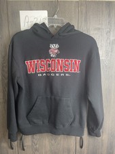 Wisconsin Badgers Hoodie Size M Black Pullover Embroidered Campus Heritage
