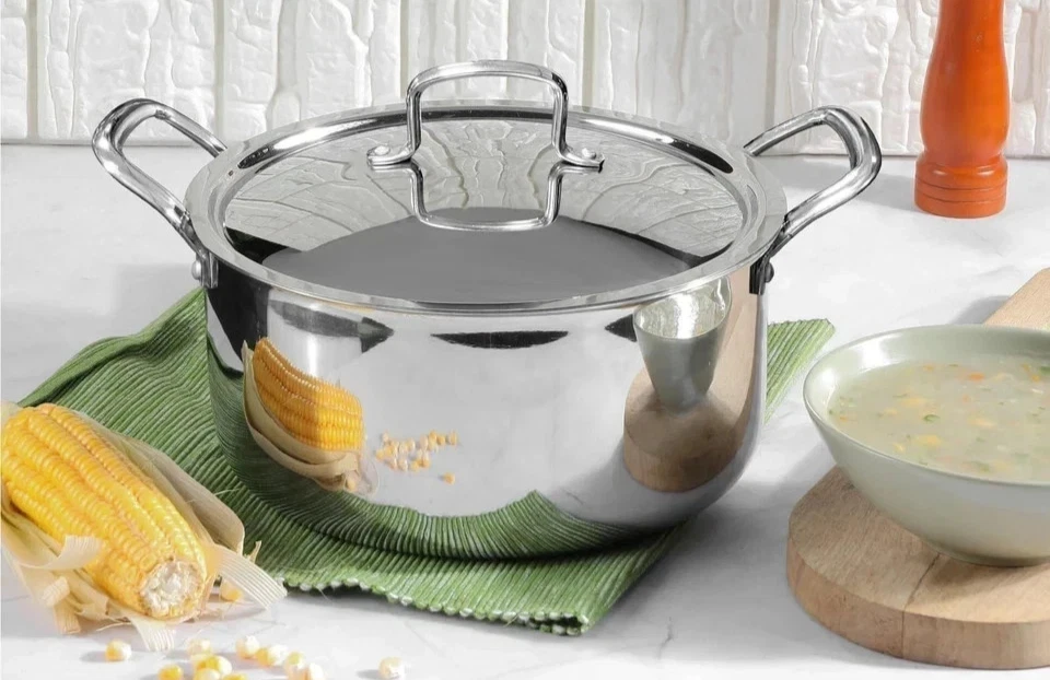 Vinod Stainless Steel Casserole Stockpot Induction Base Stock Pot with steel Lid