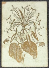 SQ231 Swap Playing Cards 1 Antique Square Corner Flowers Leaves  c1800’s