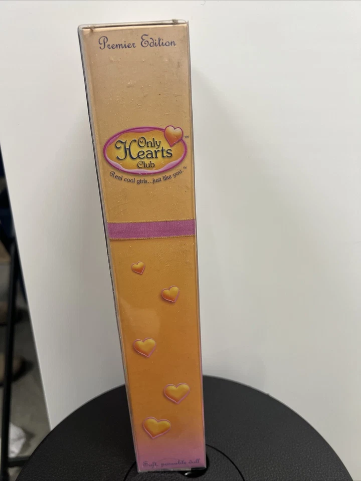 Кукла Only Hearts Club Outdoor Adventures Lily Rose мягкая подвижная 2004 никогда не доставалась из коробки - Изображение 3 из 4