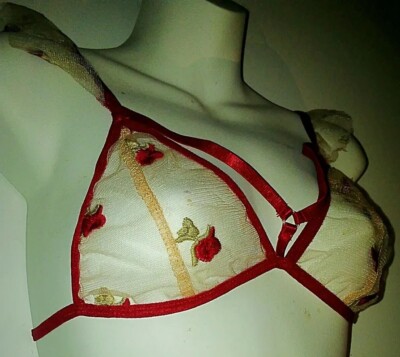vibration iphone anmachen Shein Lingerie Lingerie sheer red roses Large / XL Sexy bralette & panty  set