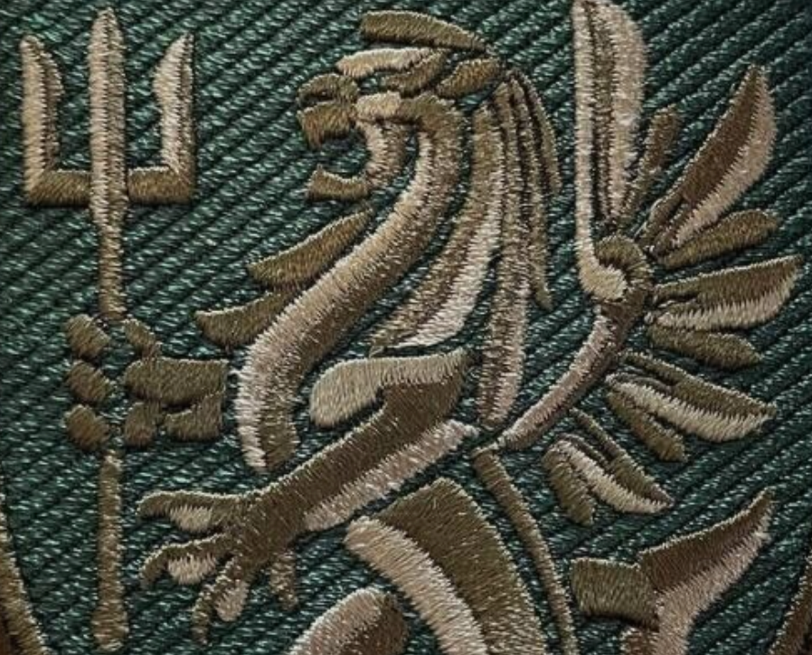 Ukrainian Unit Patch 72nd Separate Mechanized Brigade Badge Hook PVC 3 D * 4 Pcs