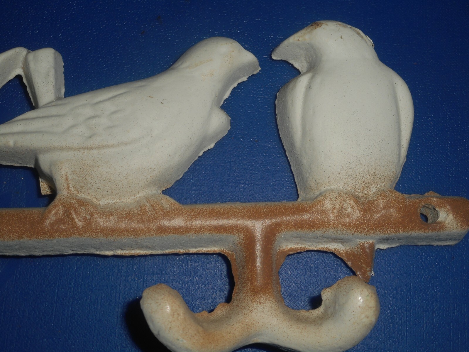 Picture 6 of 12