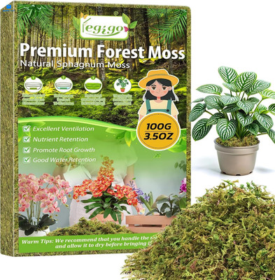Legigo 3.5 OZ Real Green Moss for Crafts, 4 QT Natural Decorative 