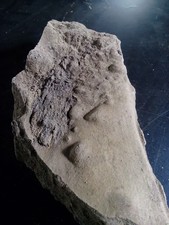 Meteorit Gestein mit Kohle