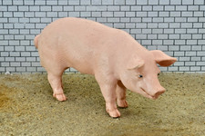Schleich Farm World 13287 Schwein Hausschwein Eber aus Sammlung