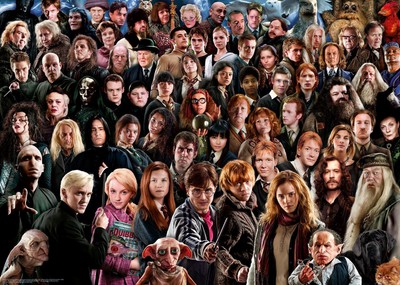 Erwachsenenpuzzle 1000 Teile - Challenge Harry Potter 