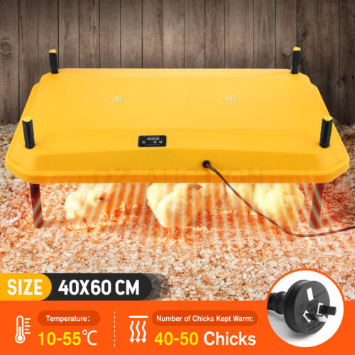 Chick Brooder Heating Plate Warmer Chicken Coop Brooding Heater Poultry Duckling - Picture 15 of 61