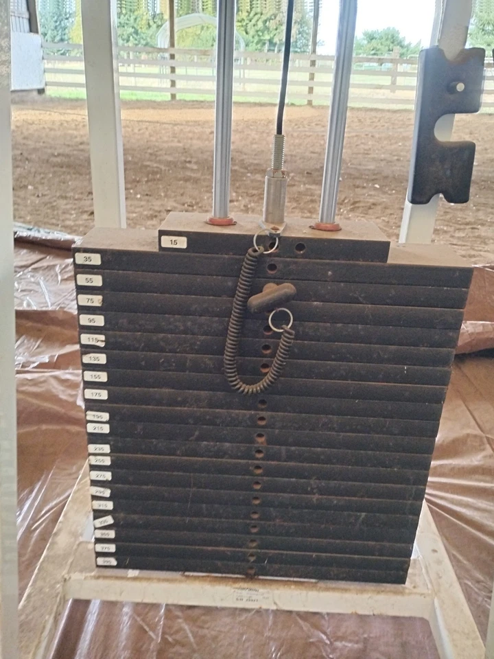 Hammer Strength Select Standing Calf 405 Lb Stack - COMPRADOR PAGA ENVÍO Foto 2 de 4