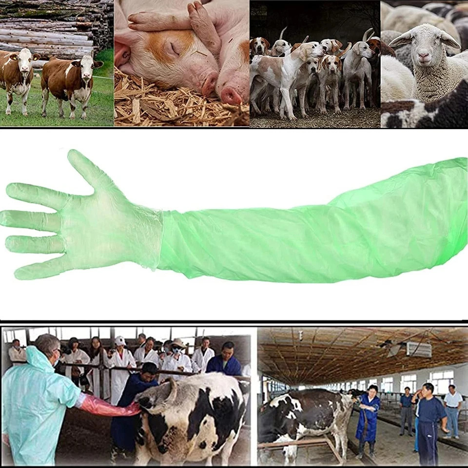 100 Pcs Extra Long Disposable, Field Dressing Gloves for, Gutting Field Dressing