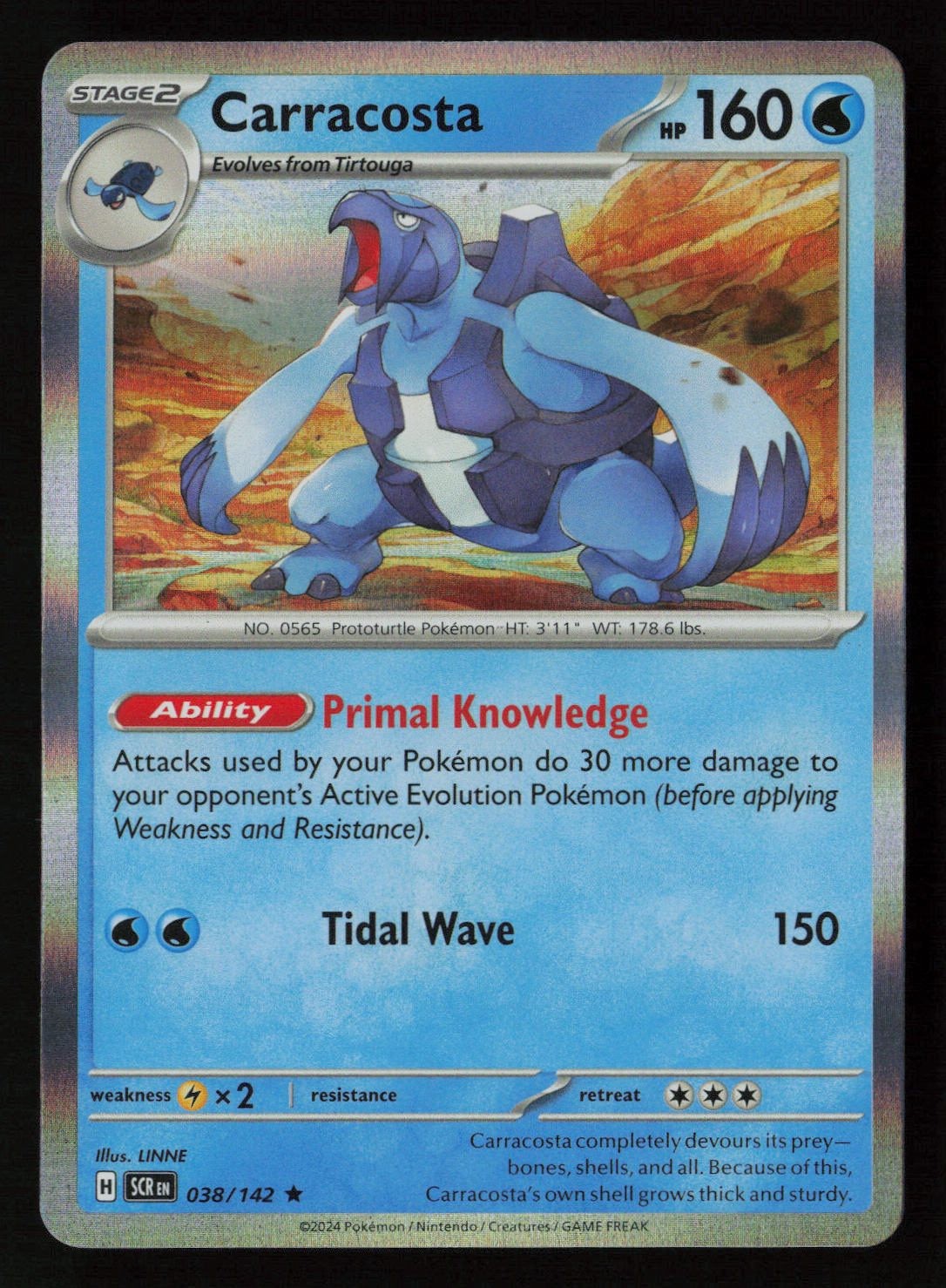 Carracosta Holofoil Stellar Crown 038/142 NM Pokemon