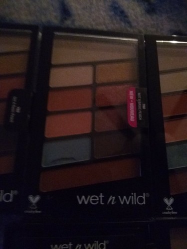 6 WET N WILD COLORICON EYESHADOW 10 PAN PALLET 760 NOT A BASIC PEACH - Picture 5 of 5
