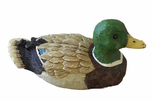Wax Duck Sculpture - Picture 3 of 5
