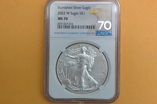 2022-W Burnished Silver Eagle NGC MS70 - Impurity