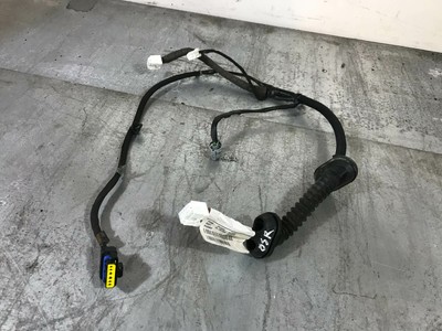 2006-13 NISSAN QASHQAI J10 DRIVER RIGHT OS REAR DOOR WIRING LOOM