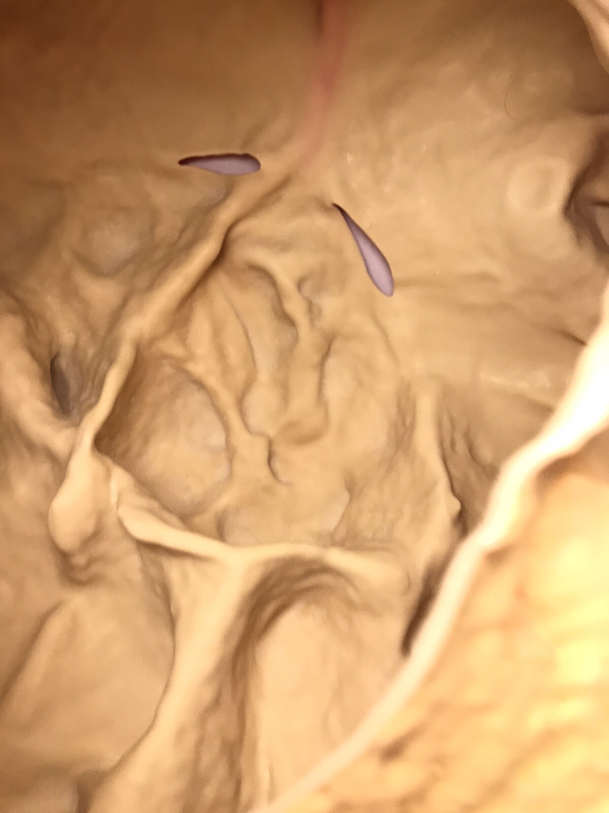 Avafierce Mask Adult Latex Mask Halloween Cosplay Mask Scary Face Horrible