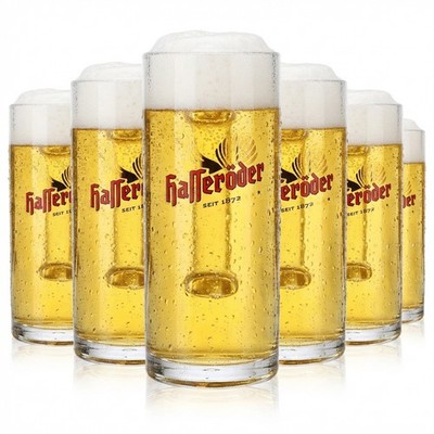 6x Hasseröder Bierglas Bierseidel Gläser Humpen 0,3l Krug Reno