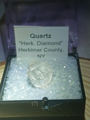 Herkimer   From NY    