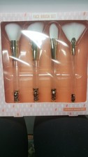 Never Used 5 Piece Brush Set