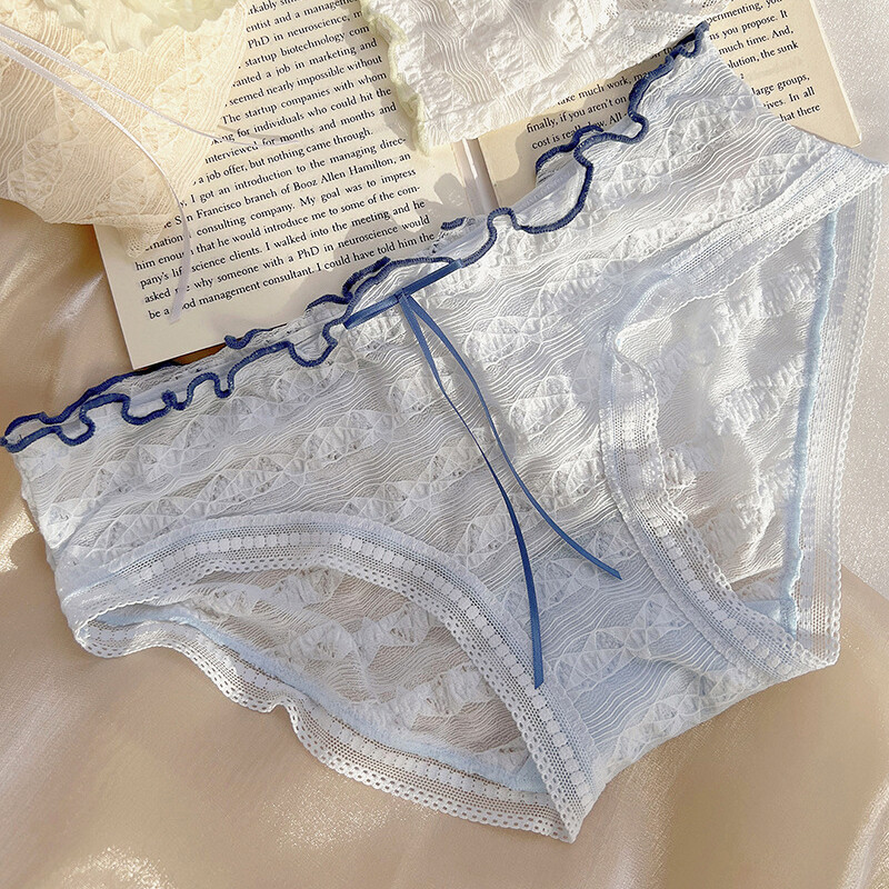 New 6pcs Lot Sexy Womens Panties Brief Lace Sheer Cute Underwear Low Waist