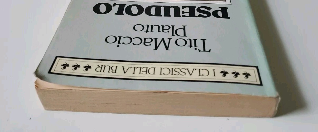 Foto 6 di 7