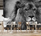 3D Animal Lion I6157 Wallpaper Mural Self-adhesive Removable Sticker Erin