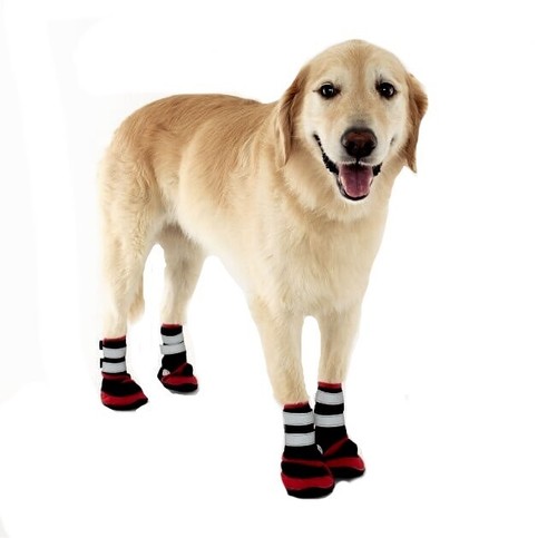 xxxl dog boots