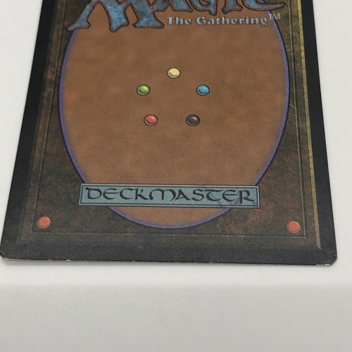 Magic The gathering Forest Fifth Edition Land Illustrator David O’Connor 1997 - Picture 7 of 14