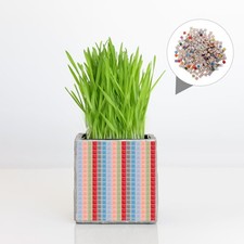 250g Square Ceramic Mosaic Tiles Pieces Chips DIY Crafts Home Arts Tiles