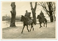 Großfoto 1. Gebirgsdivision Gebirgsjäger zu Pferd in Serbien horse Wehrmacht ´41