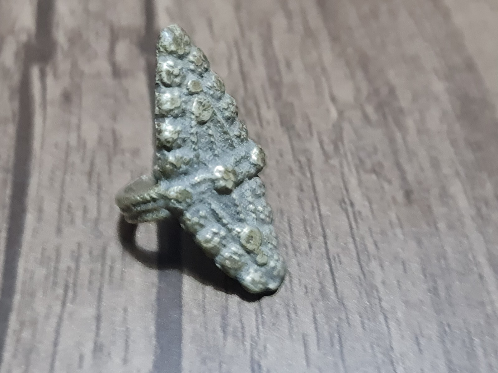 Picture 2 of 14
