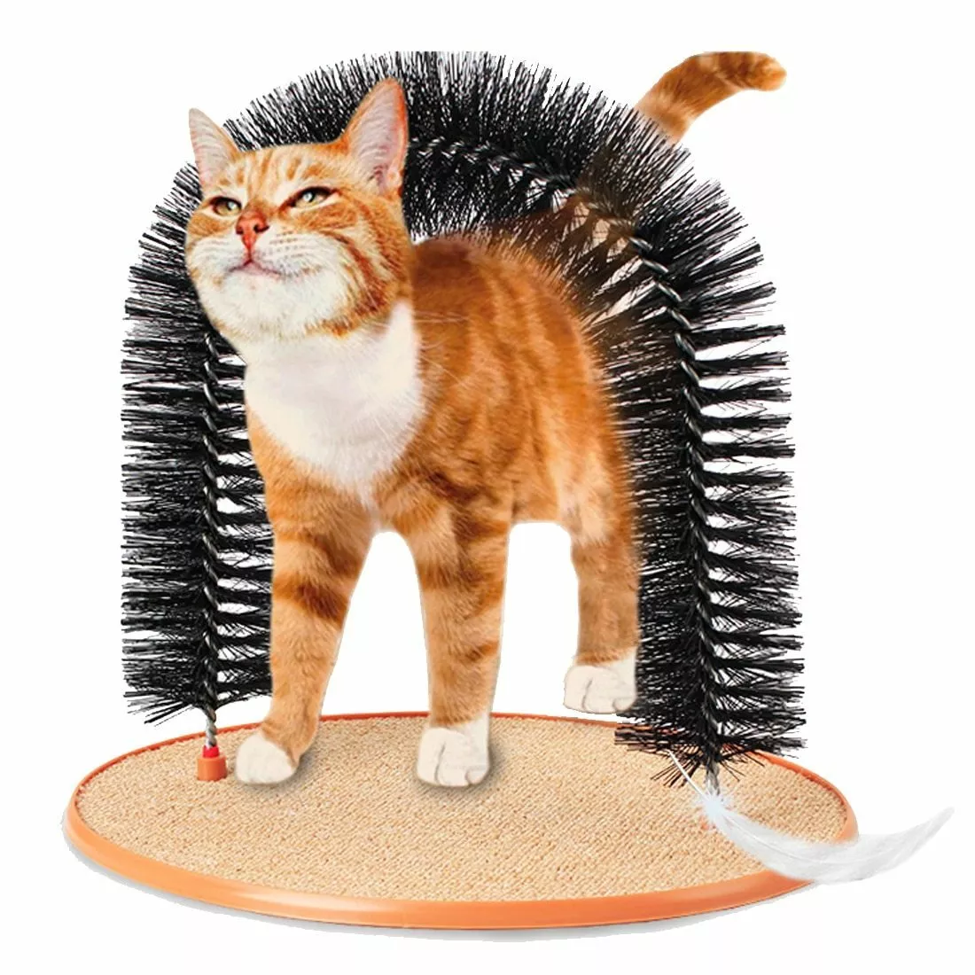 Cat hotsell scratcher arch
