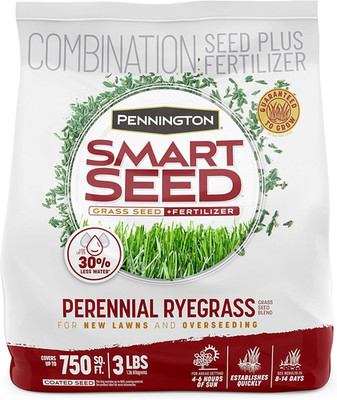 Smart Seed Perennial Ryegrass 3 Lb