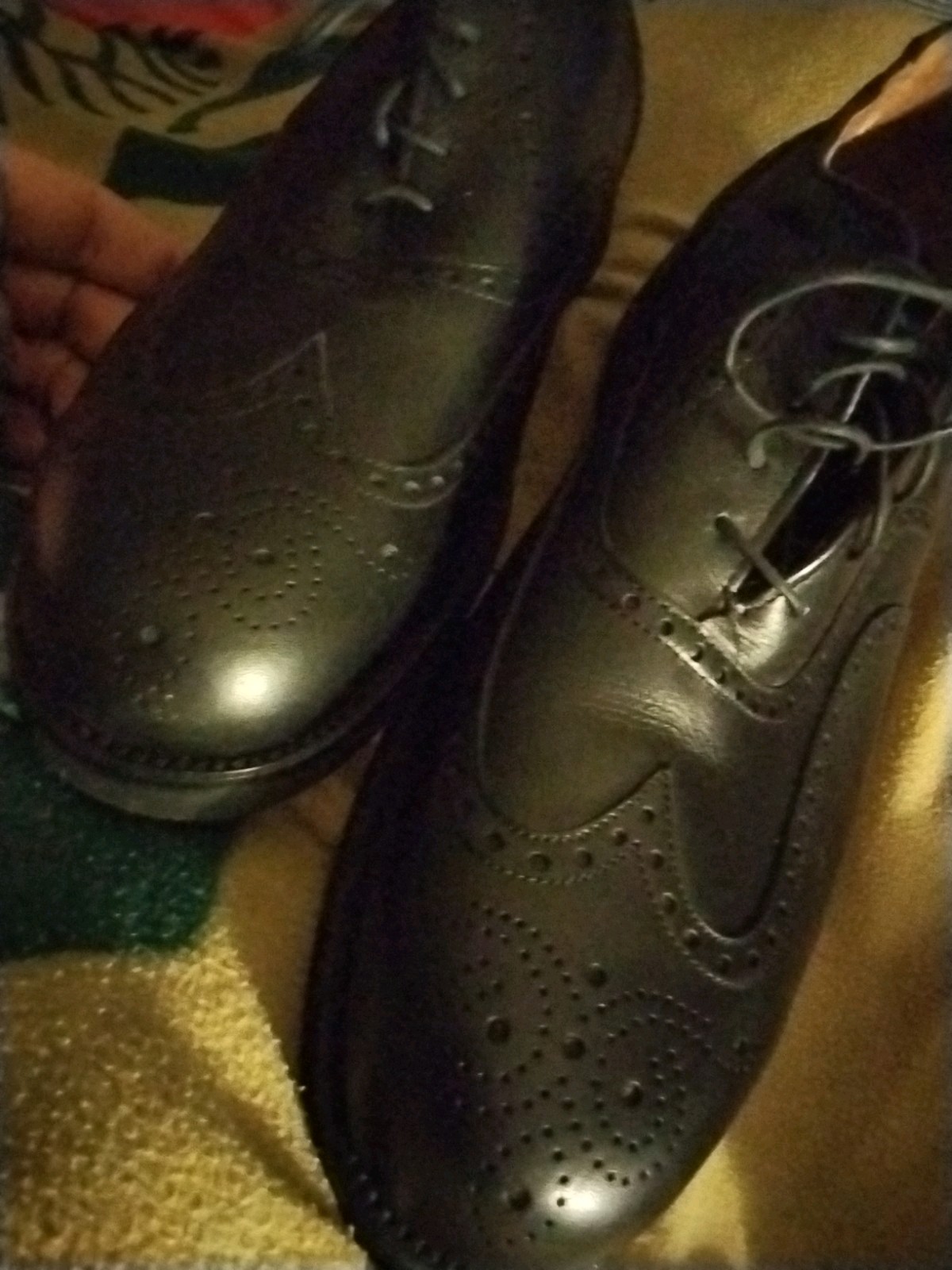 Alden 811 Black Calfskin Wing Tip Bal