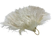 antique White Ostrich Feather Hand Folding Fan